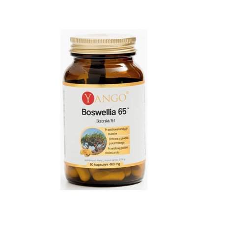 Yango Boswellia 65 (60 kaps)